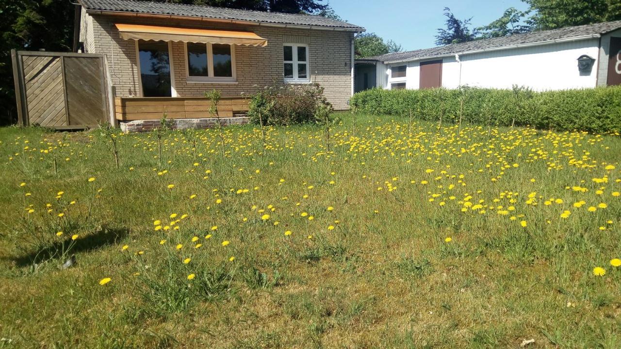 Sommerhaus Eggstedt المظهر الخارجي الصورة